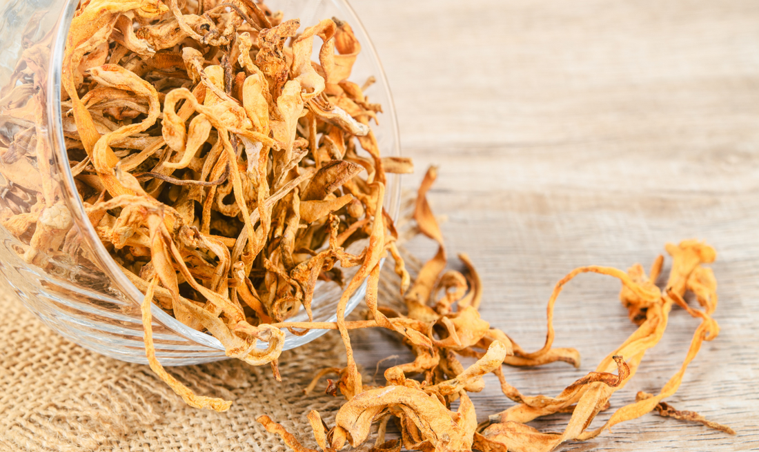 Why Keeda Jadi is the Ultimate Natural Energy & Immunity Booster