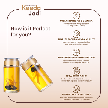 What Exactly is Keeda Jadi in English? decrypting Ophiocordyceps Sinensis