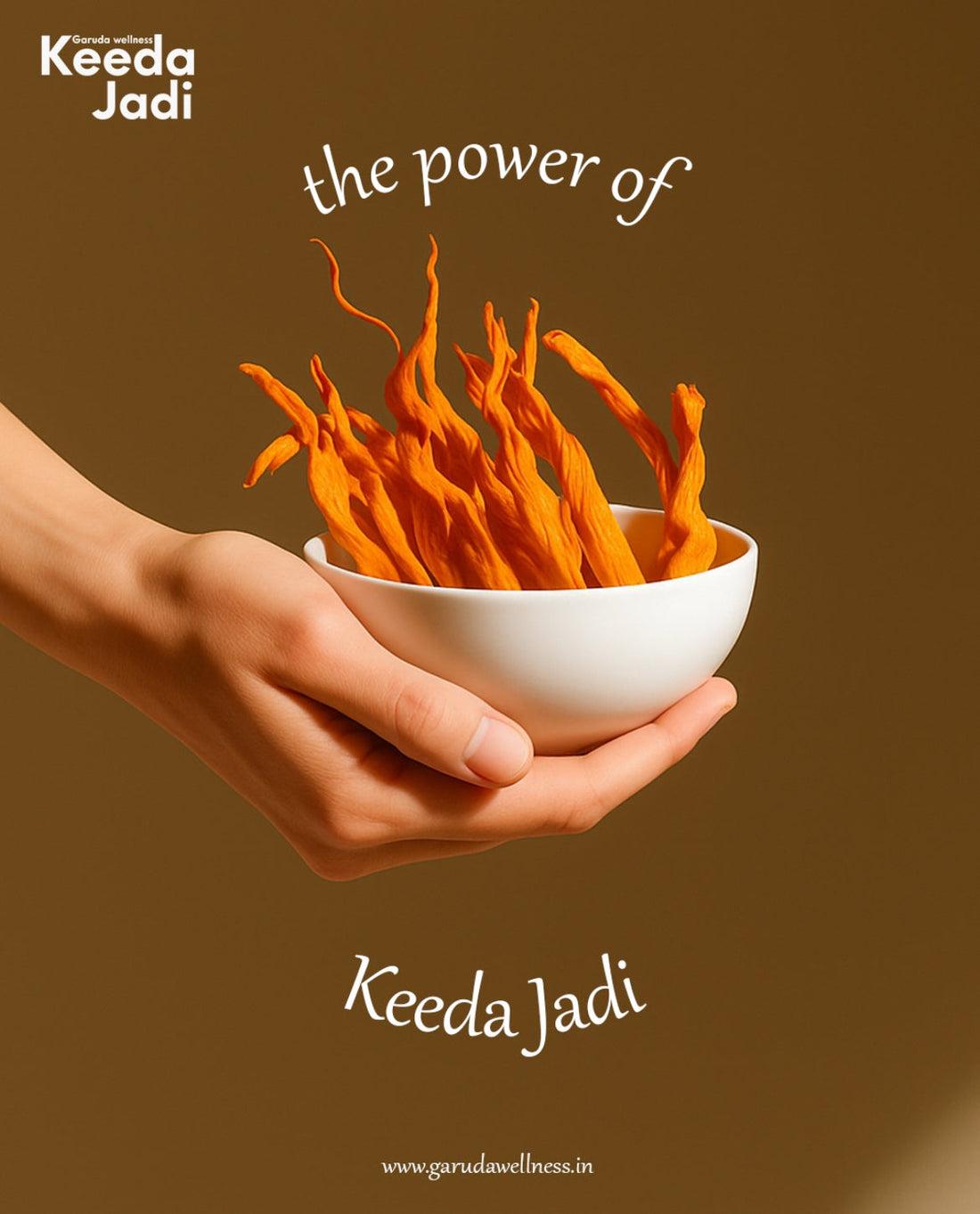 The Dehradun Connection: Your Local Gateway to Buying Keeda Jadi Online