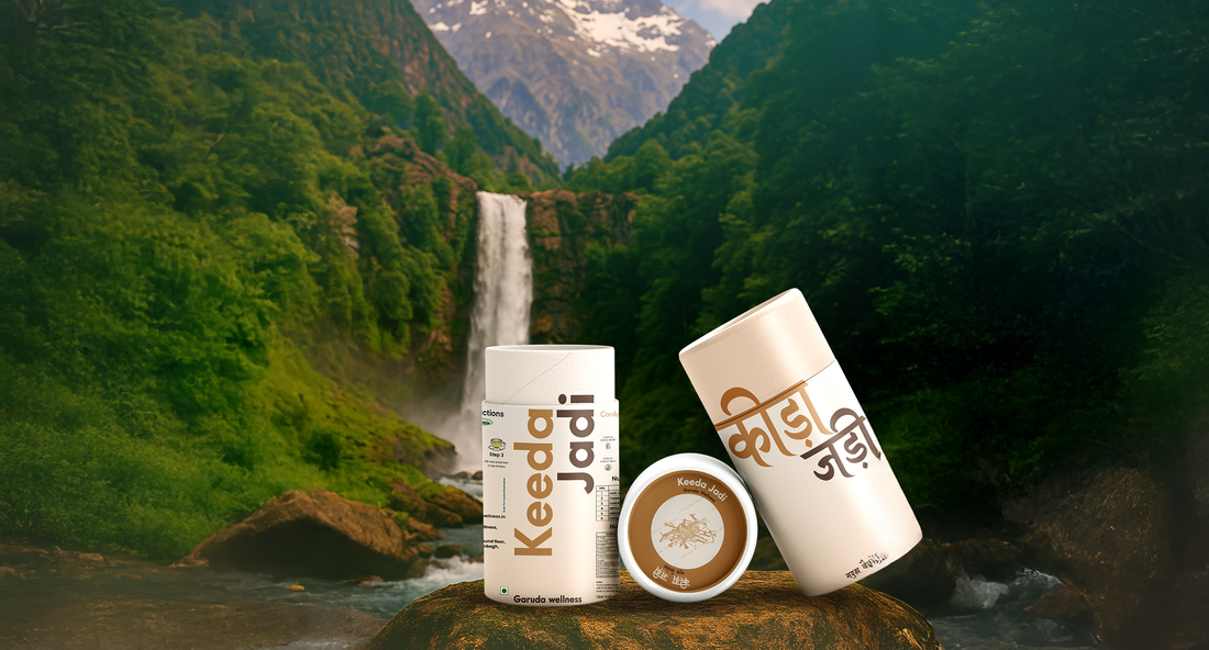 Why Is Keeda Jadi So Expensive in India? Is It Really Worth the Price?