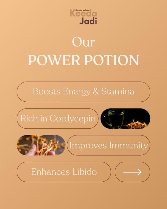 supplements for immune system