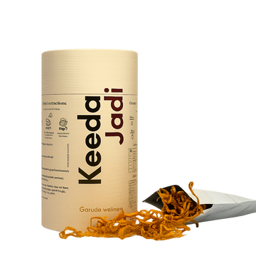 Cordyceps Militaris
