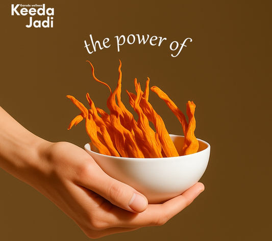 First Time? Don't Be a "One-Minute Wonder." With Your Gf Use keeda jadi mushroom