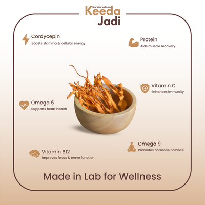 Keeda Jadi (Cordyceps Militaris)
